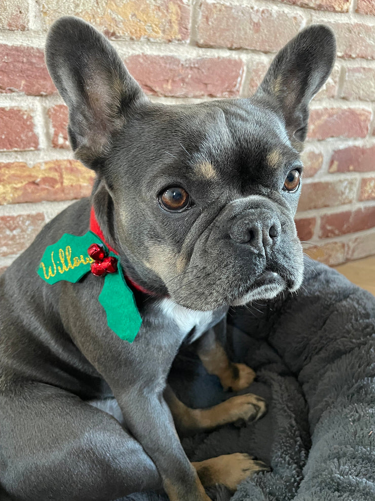 Personalised Christmas dog collar, Dog dress up, Dog Christmas Gift, Christmas dog costume, Dog Collar, Holiday dog outfit, Dog bandana