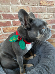 Personalised Christmas dog collar, Dog dress up, Dog Christmas Gift, Christmas dog costume, Dog Collar, Holiday dog outfit, Dog bandana