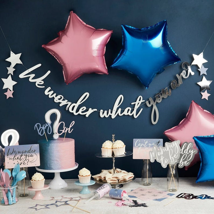 Gender Reveal Photo Booth Props